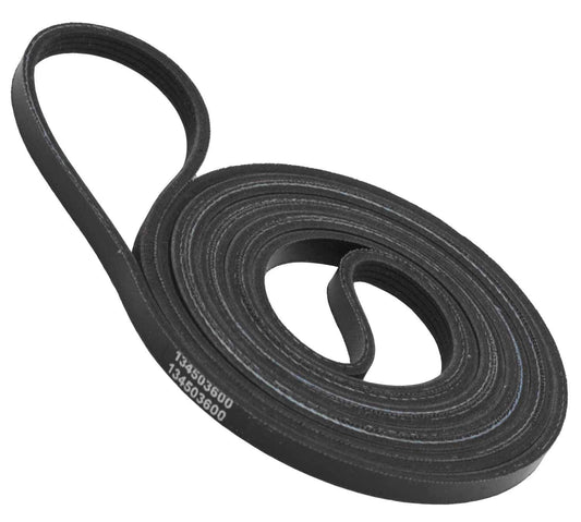 ERP Dryer Drum Belt 134503600